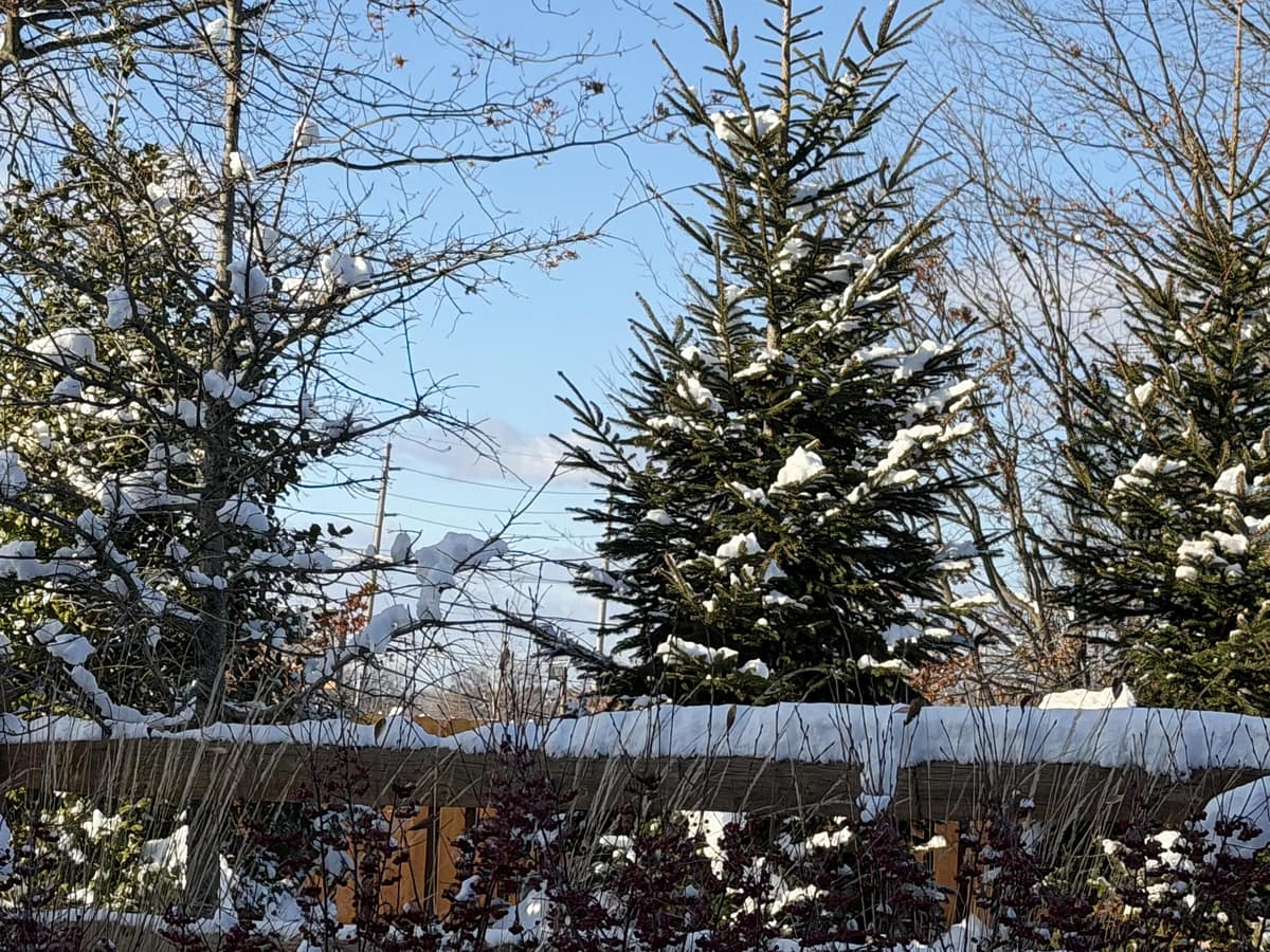 A Snowy Day in Wayne