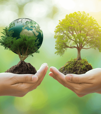 Eco-Cities