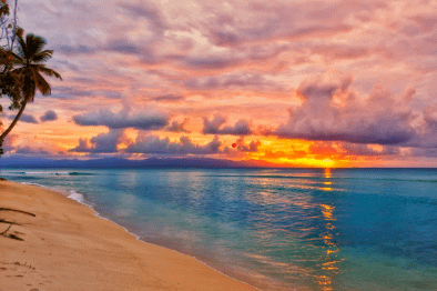 Summer Trivia