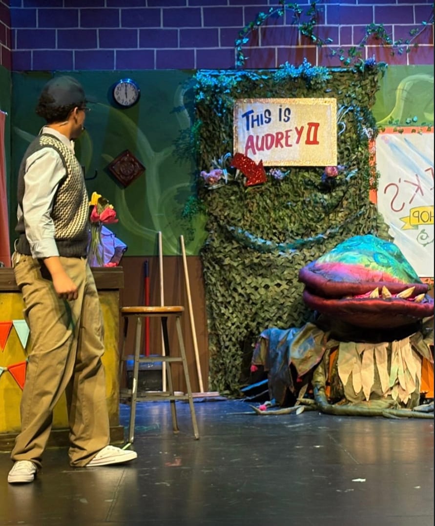 Junior Jacob Gonzalez-Lopez as Seymour Krelbourn