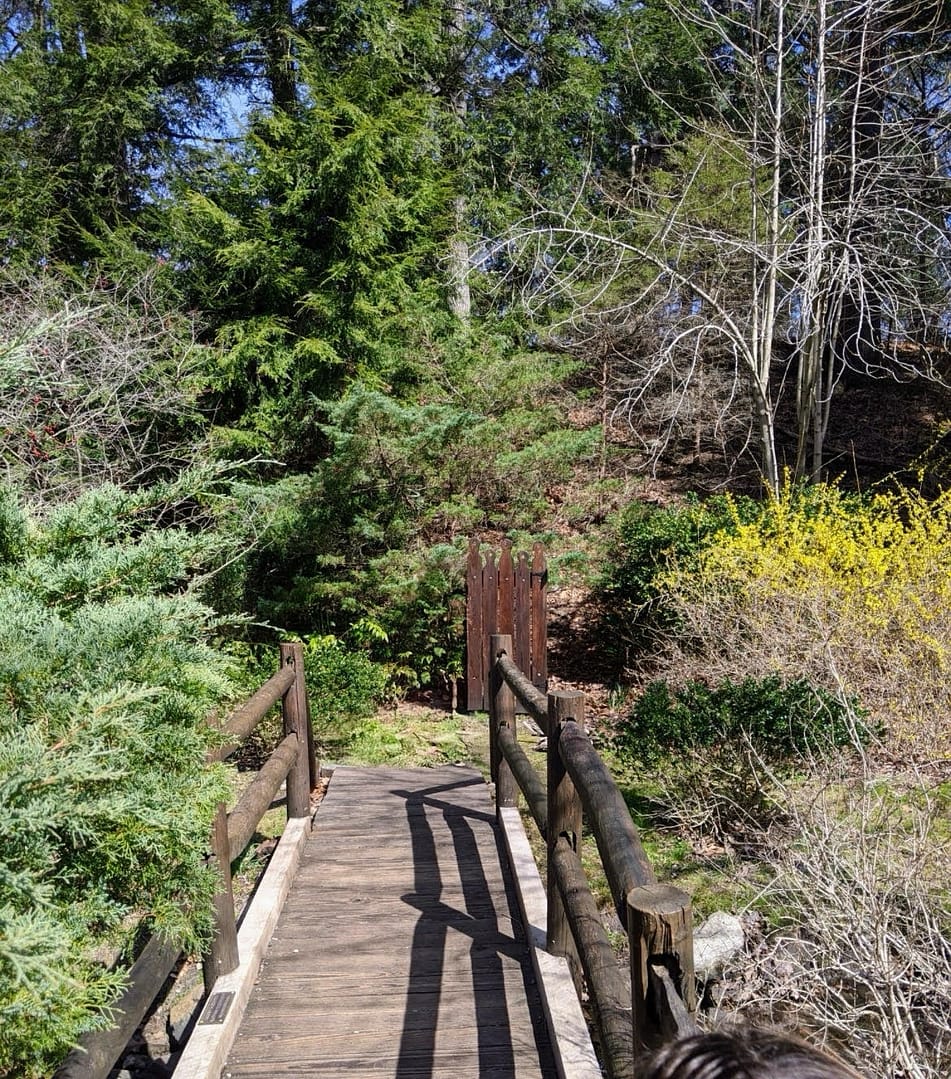 A bridge in Laurelwood Gardens right here in Wayne, NJ!